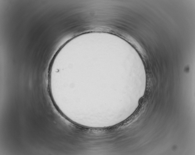 X0000116821095201001151200