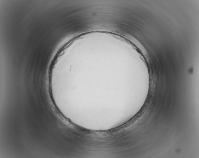 X0000116821096201001151200