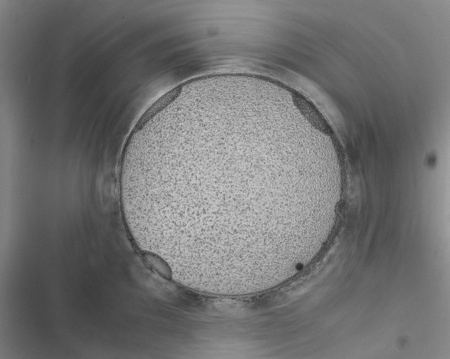 X0000116821097201001151200