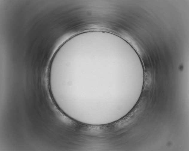 X0000116821098201001151200