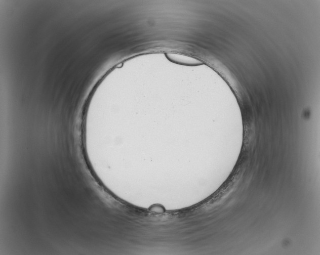 X0000116821099201001151200