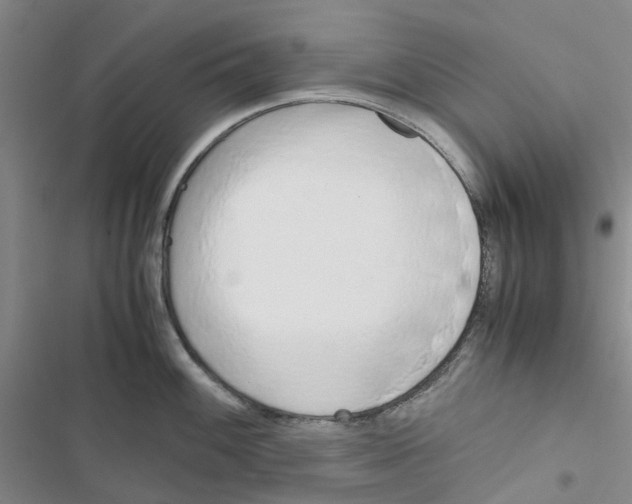 X0000116821100201001151200