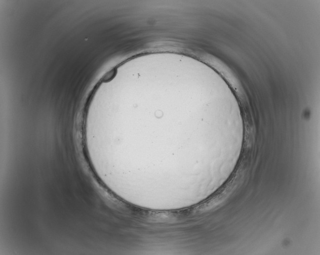 X0000116821101201001151200