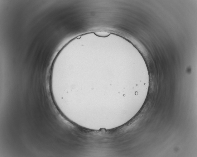 X0000116821102201001151200