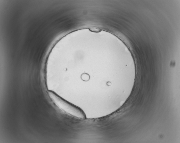 X0000116821104201001151200