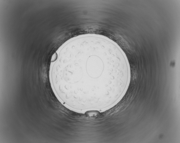 X0000116821106201001151159