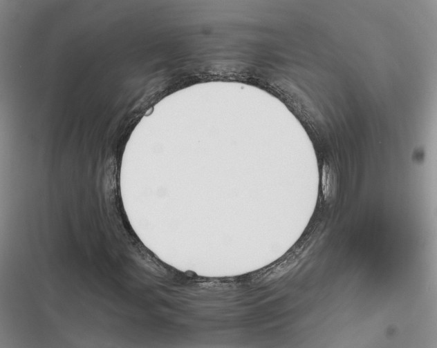 X0000116821107201001151159