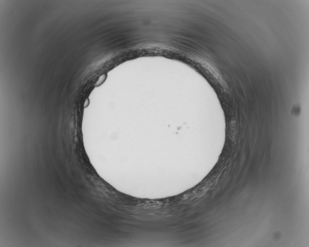 X0000116821111201001151159