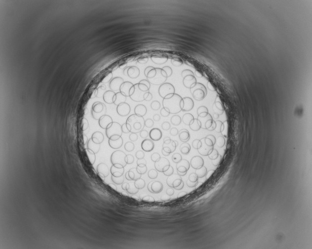 X0000116821113201001151159