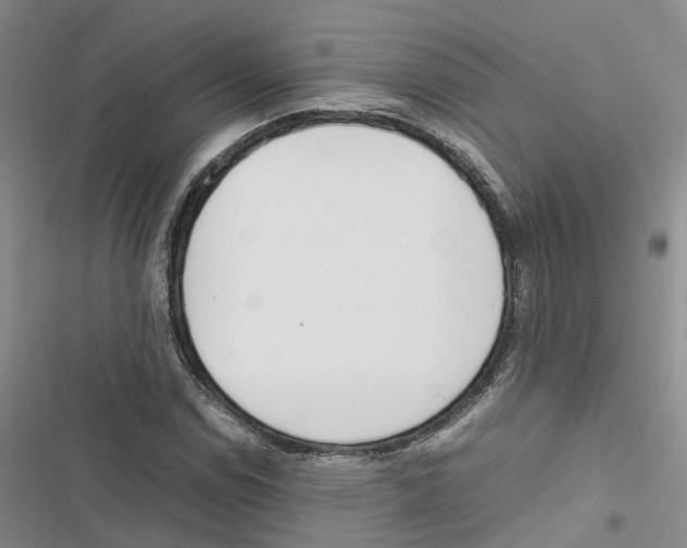 X0000116821114201001151159