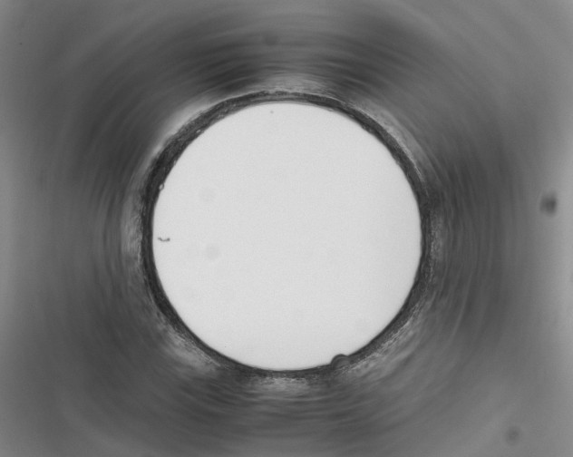 X0000116821115201001151159