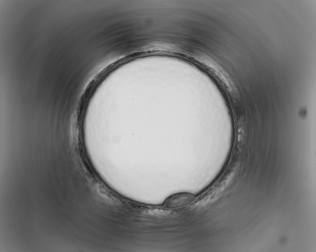 X0000116821117201001151159