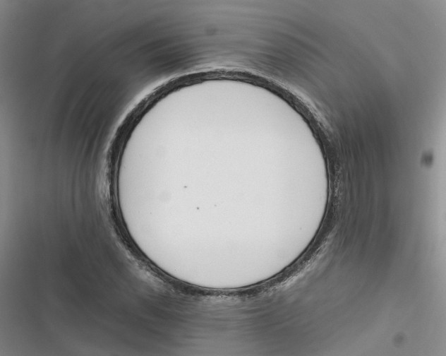 X0000116821118201001151159