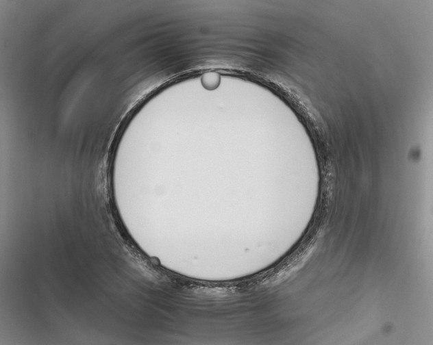 X0000116821121201001151159