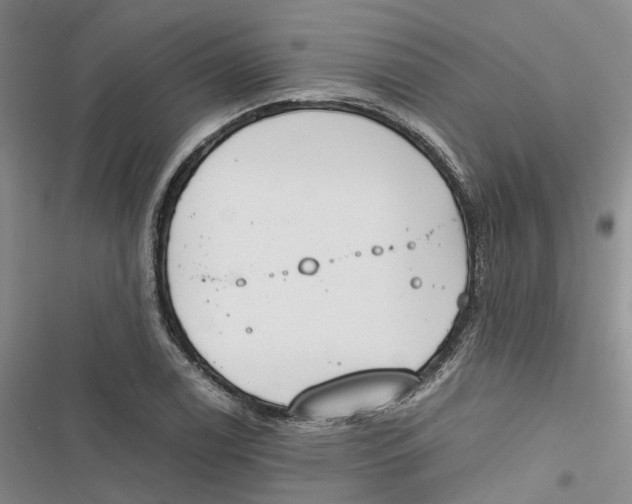 X0000116821122201001151159