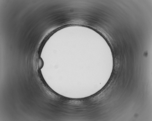 X0000116821123201001151159