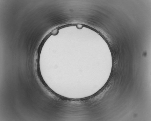 X0000116821126201001151159