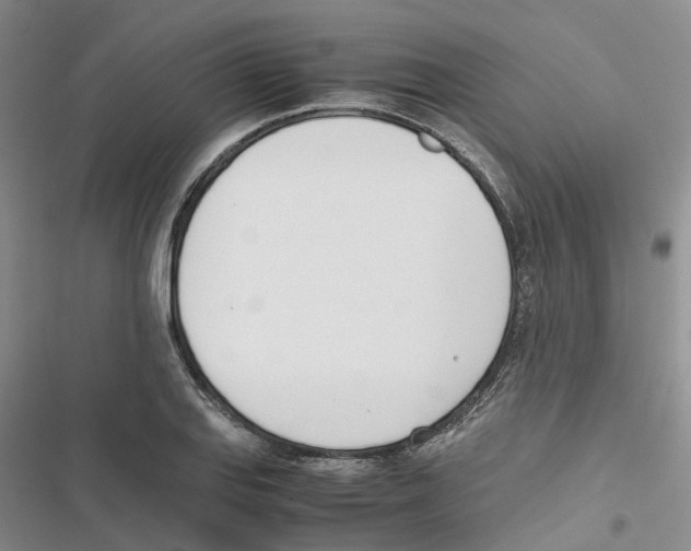 X0000116821127201001151159