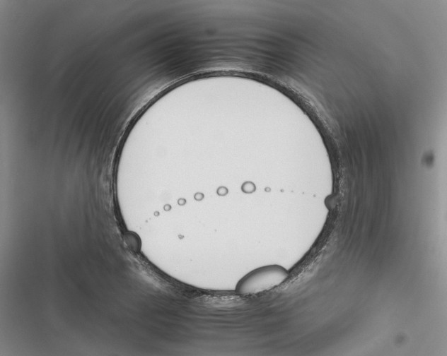 X0000116821129201001151159