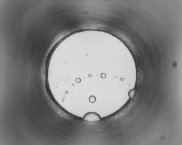 X0000116821130201001151159