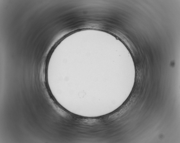 X0000116821131201001151159