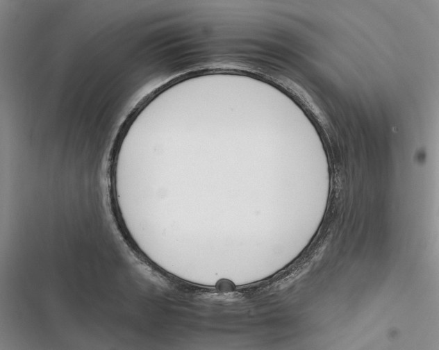 X0000116821133201001151159