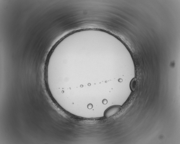 X0000116821134201001151159