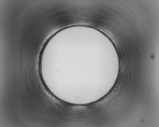 X0000116821135201001151159