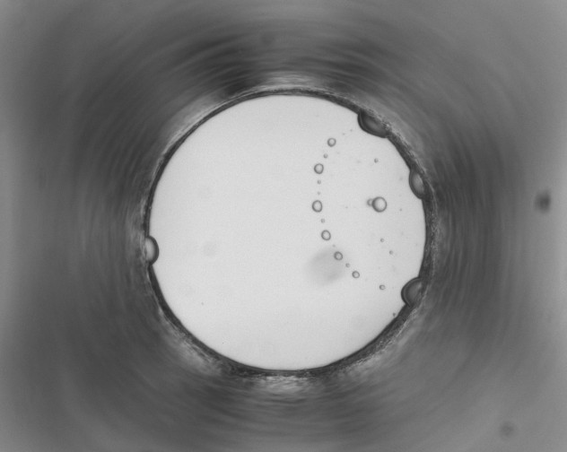 X0000116821137201001151159