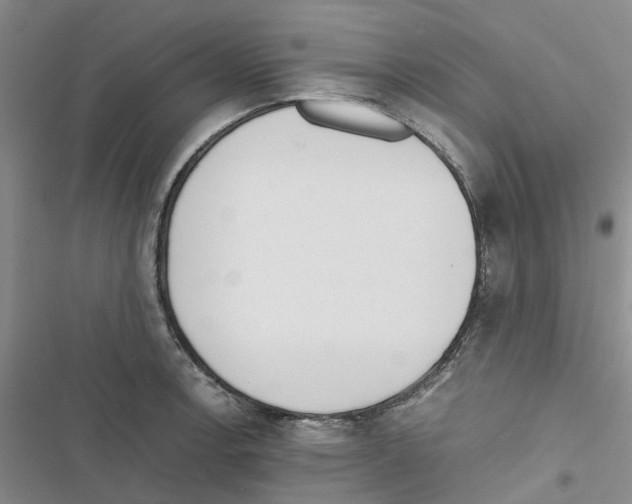 X0000116821138201001151159