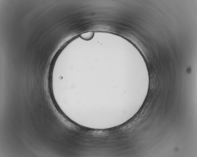 X0000116821139201001151159