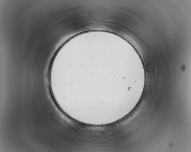 X0000116821141201001151159