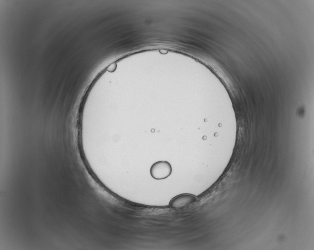 X0000116821143201001151159