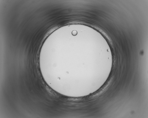 X0000116821145201001151159