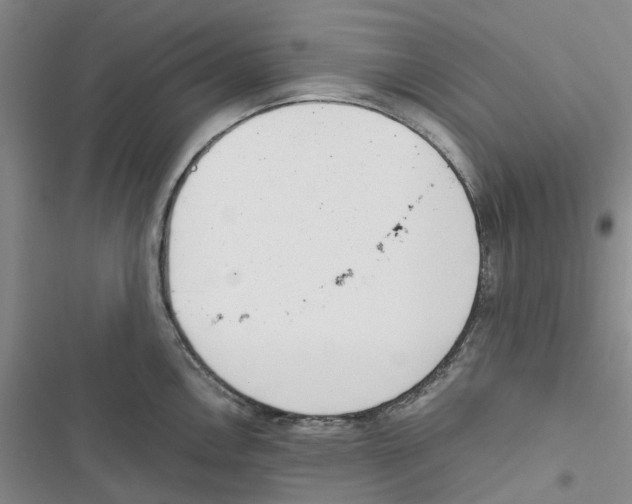 X0000116821146201001151159