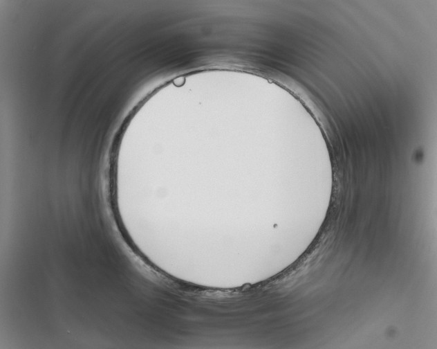 X0000116821147201001151159