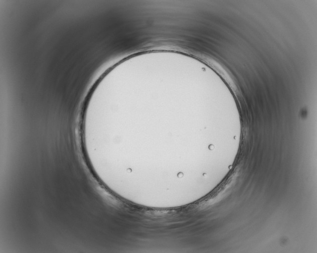 X0000116821149201001151200