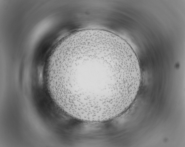 X0000116821150201001151200