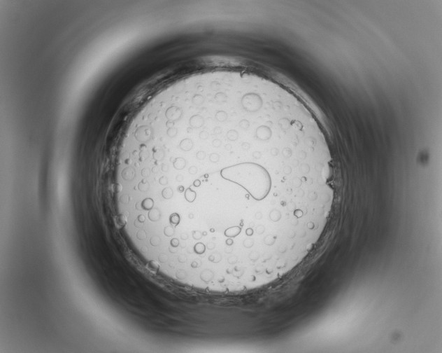 X0000116821151201001151200