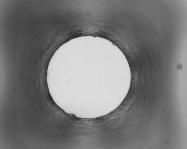 X0000116821153201001151159