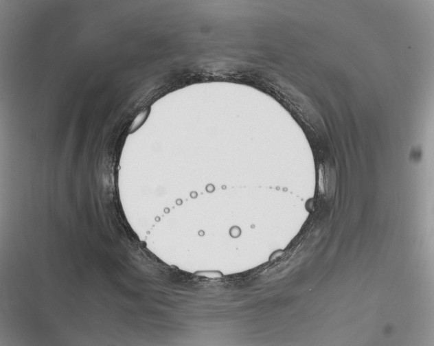 X0000116821155201001151159