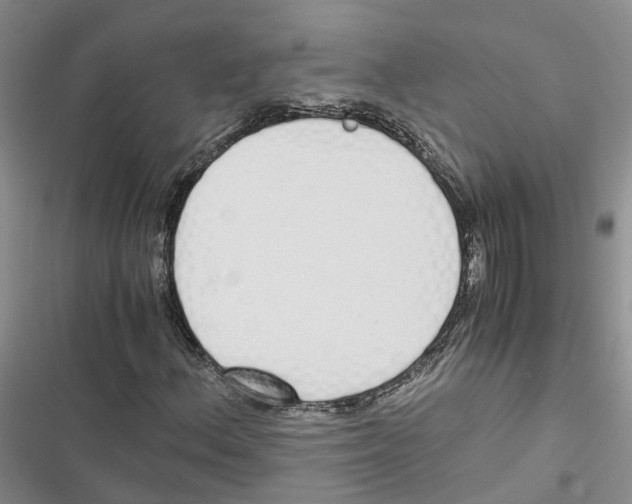 X0000116821156201001151159