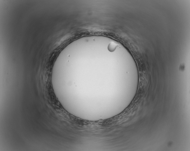 X0000116821157201001151159