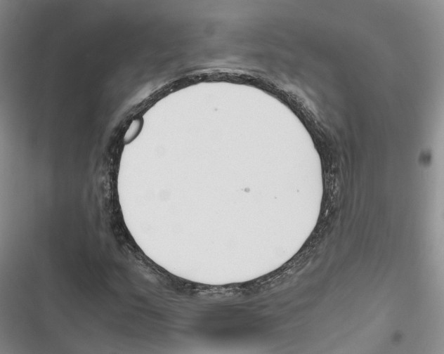 X0000116821159201001151159