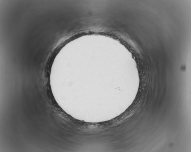 X0000116821160201001151159