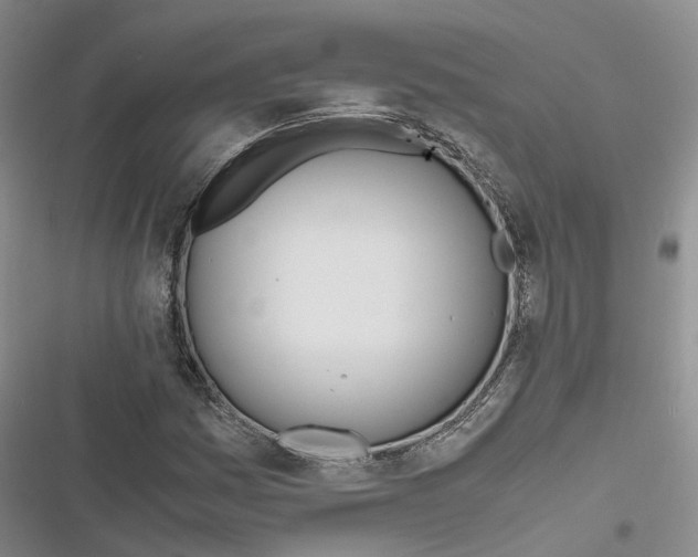 X0000116821161201001151159