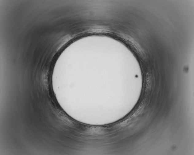 X0000116821162201001151159