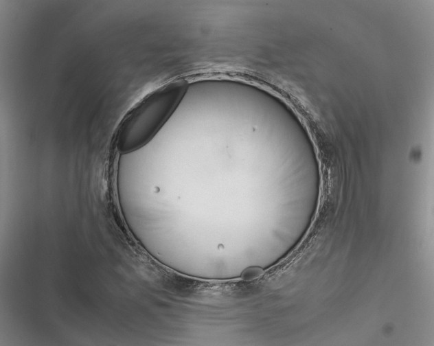 X0000116821165201001151159