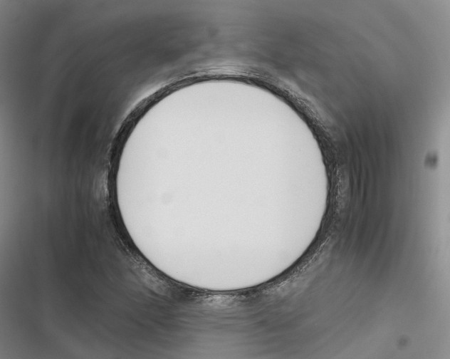 X0000116821166201001151159