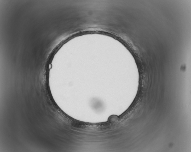 X0000116821167201001151159